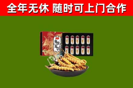 汕头回收冬虫夏草价格