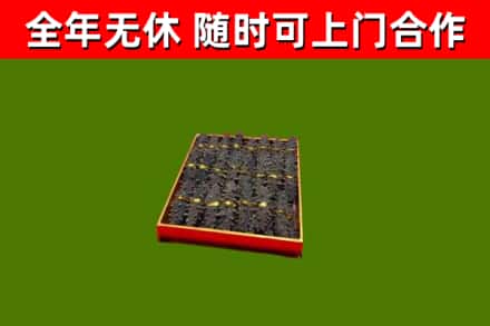 汕头烟酒回收海参.jpg